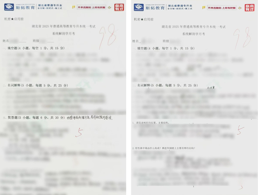 系统解剖学.jpg